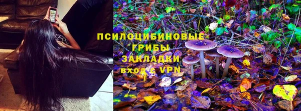 молекула духа Зеленодольск
