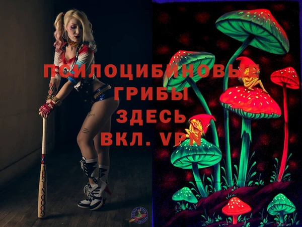 молекула духа Зеленодольск