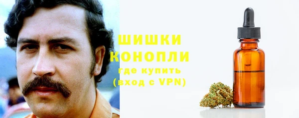 СК Зеленокумск