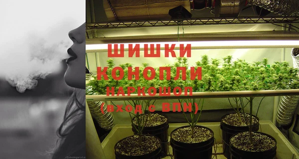 бошки Инта