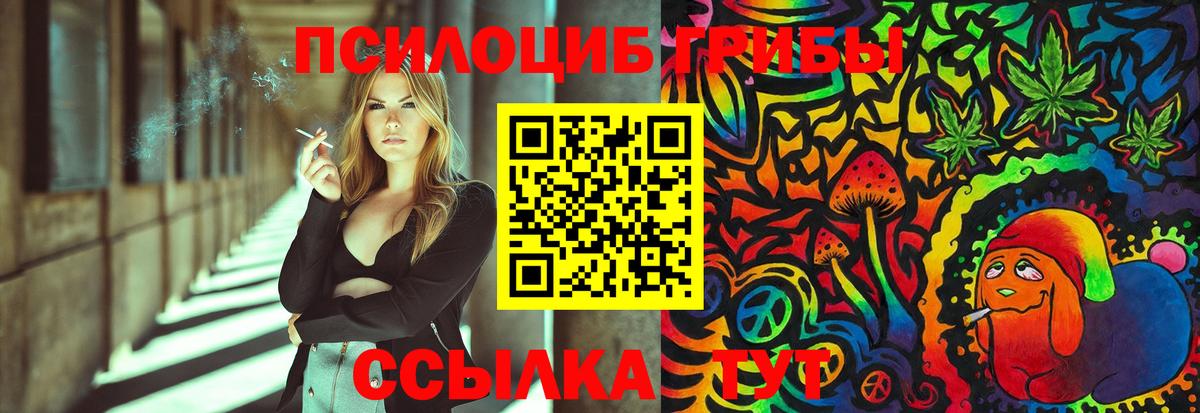 Галлюциногенные грибы мицелий  Галлюциногенные грибы Magic Shrooms  наркошоп  Кашира  Вход с VPN 